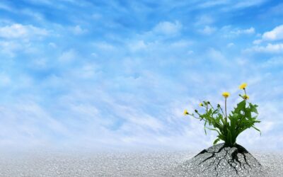Stroke Rehabilitation: Overcoming Mental Barriers