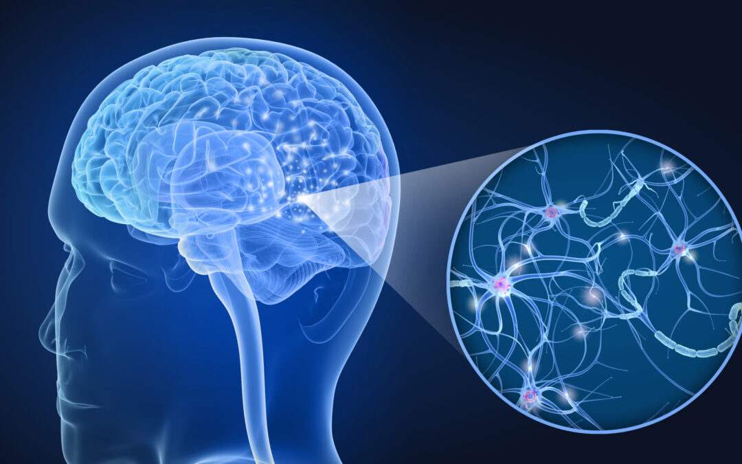 Mitochondrial Dysfunction in Multiple Sclerosis