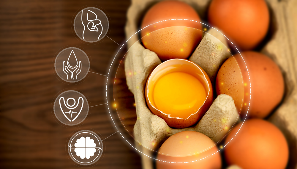 image of eggs with list of health benefits