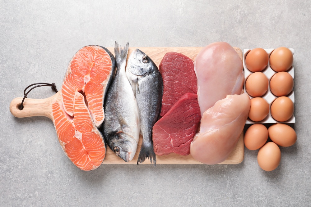image of foods high in proteins