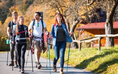 Review of Trekking Poles