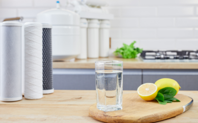 Reverse Osmosis Countertop Water Purifiers Product Review