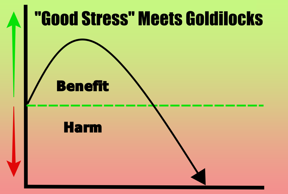 Hormetic Stress: The Good Stress For A Happy Healthy Life