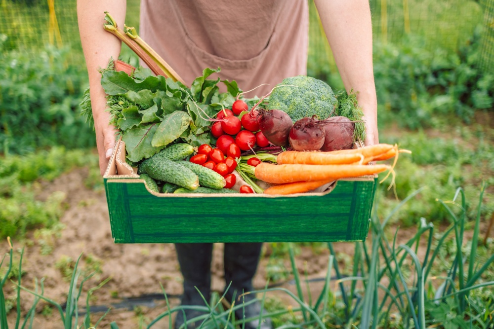 sustainable farming