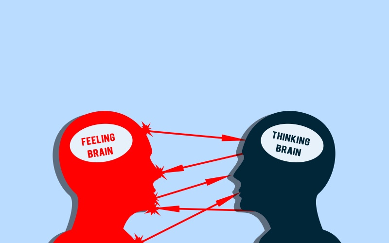 thinking versus feeling brain vector image