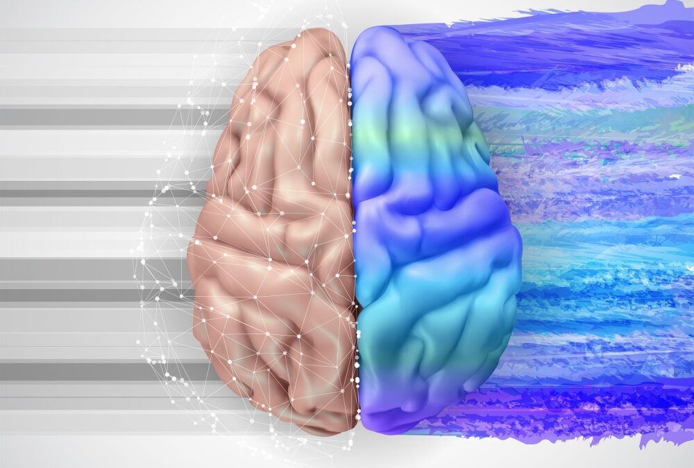 brain that is half purple representing creativity and half that is gray representing logic