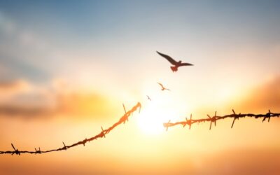 Confinement….And Freedom