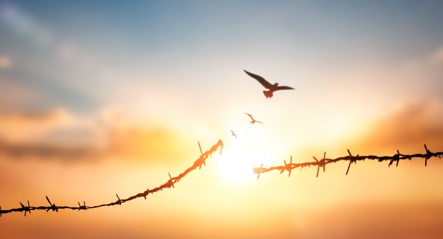 Confinement….And Freedom